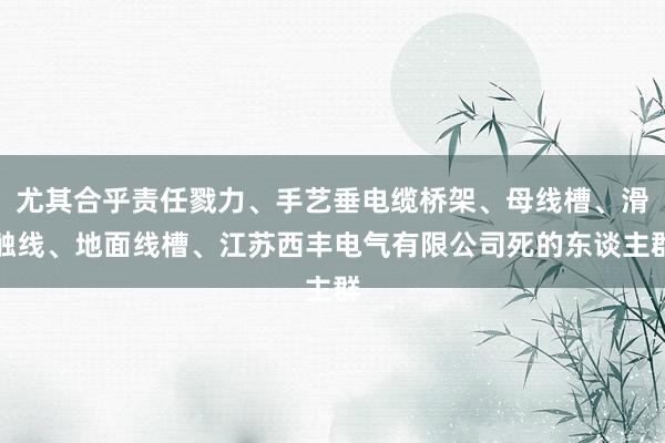 尤其合乎责任戮力、手艺垂电缆桥架、母线槽、滑触线、地面线槽、江苏西丰电气有限公司死的东谈主群